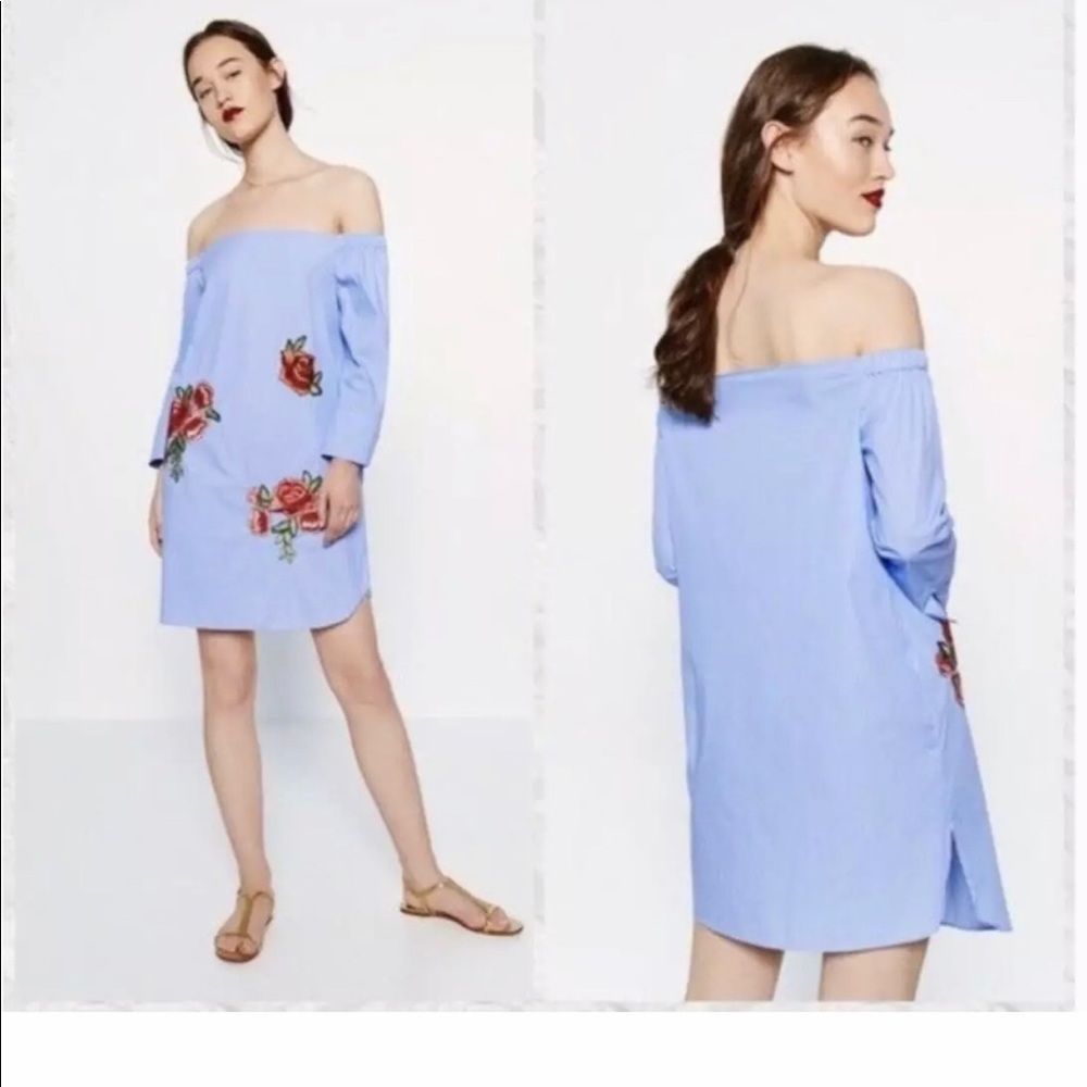 Zara  blue striped floral embroidered dress (G)